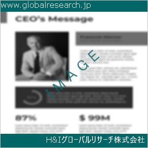 グローバルリサーチ調査資料のイメージ